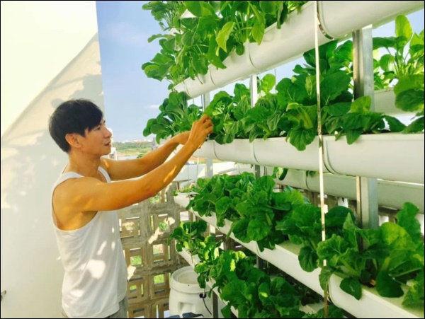 Tránh dịch, vợ chồng Lý Hải - Minh Hà lên Đà Lạt thu hoạch rau củ, nhìn nông trại xanh mướt mà ai cũng mê-14