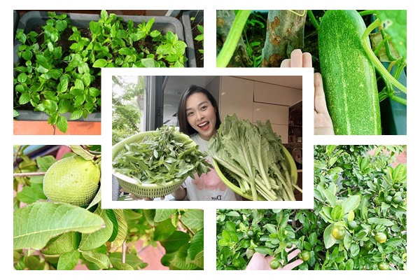 Vũ Khắc Tiệp chính thức đập hộp biệt thự 1800m2 đắt giá nhất Sài Gòn khiến dân mạng ngỡ ngàng-16