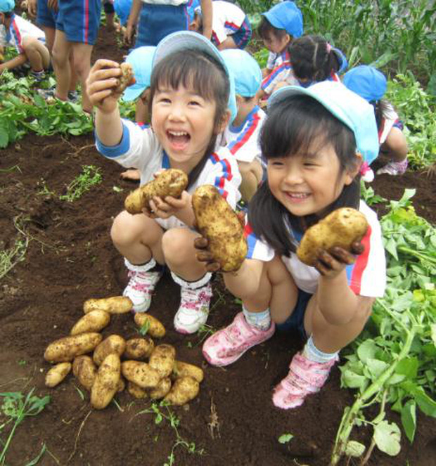 Cha mẹ thực sự yêu con, hãy để con chịu đựng 6 loại đau khổ này: Nếu không trải qua sự rèn luyện sâu sắc, sẽ không thể trải nghiệm hạnh phúc nồng nhiệt-1