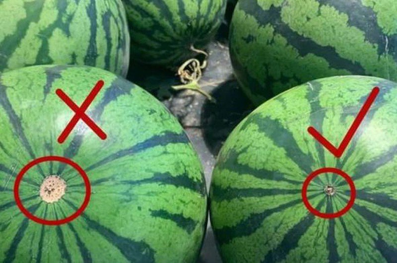 Cách chọn dưa hấu, dưa lê ngon ngọt chỉ với 3 giây, để không bị người bán hàng qua mặt-1