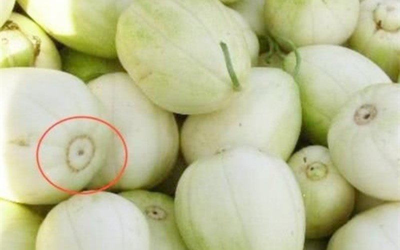 Cách chọn dưa hấu, dưa lê ngon ngọt chỉ với 3 giây, để không bị người bán hàng qua mặt-4