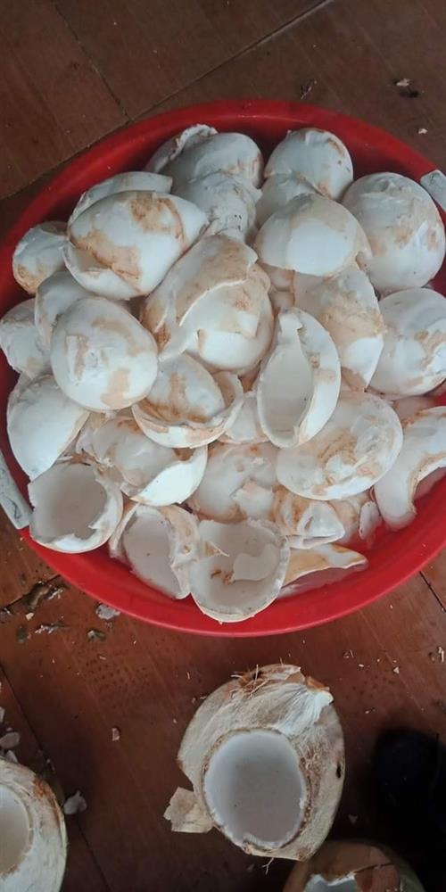 Nước dừa chỉ từ 35k/lít bán đầy chợ mạng, nổ đơn ầm ầm mùa nắng nóng-5