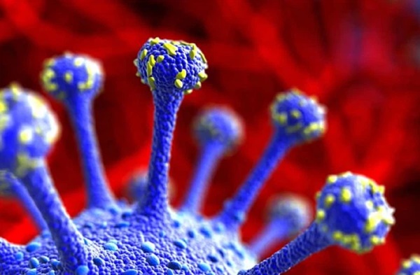 Virus đột biến Delta Plus đã lây lan tăng tốc ra 11 quốc gia, dự đoán có thể còn mạnh hơn Delta-2