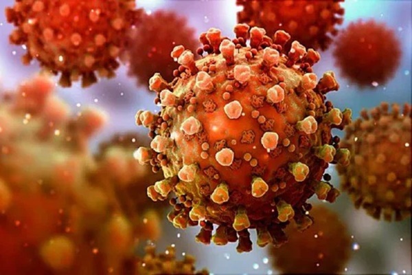 Virus đột biến Delta Plus đã lây lan tăng tốc ra 11 quốc gia, dự đoán có thể còn mạnh hơn Delta-3