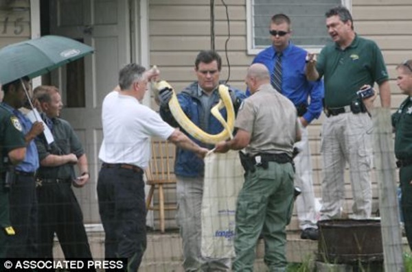 Bé gái 2 tuổi bị giết chết trong cũi bởi Tử thần sống kề cận trong nhà mà không ai hay, lại còn được mẹ hết mực chăm bẵm-3