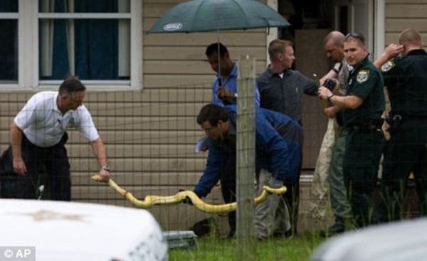 Bé gái 2 tuổi bị giết chết trong cũi bởi Tử thần sống kề cận trong nhà mà không ai hay, lại còn được mẹ hết mực chăm bẵm-4
