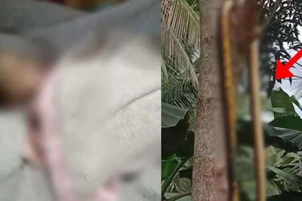 Nữ sinh 11 tuổi giết chết bạn học vì bị lăng mạ - Vụ án ám ảnh Nhật Bản và mối liên hệ rợn người với Lời nguyền căn phòng đỏ-6