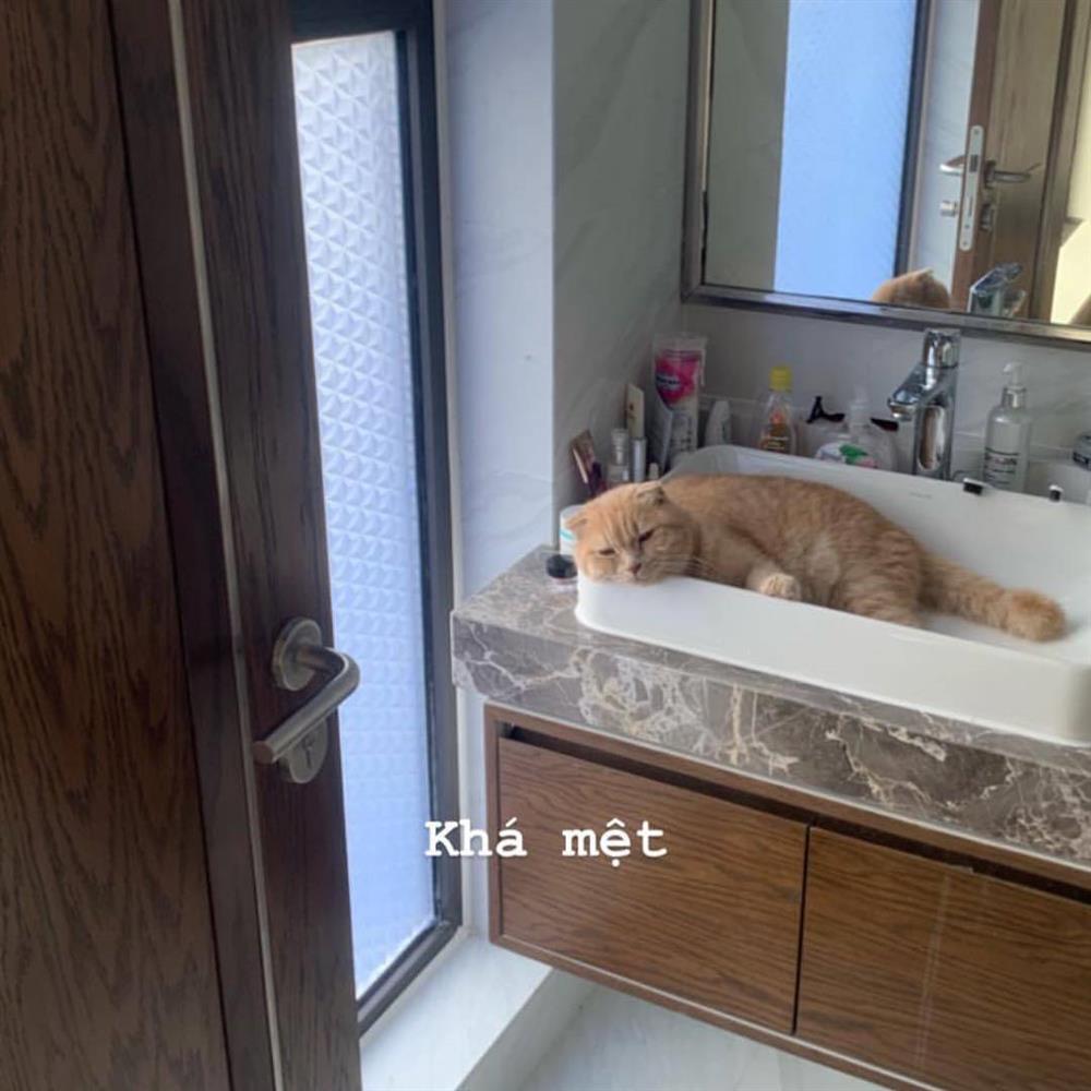 Không gian sống giản dị đến bất ngờ của nàng hậu Mai Phương Thúy-11