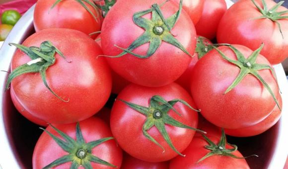 Khi mua cà chua, không biết cách, hãy nhìn 3 nơi để chọn được cà chua ngọt, mọng nước và nhiều thịt-2