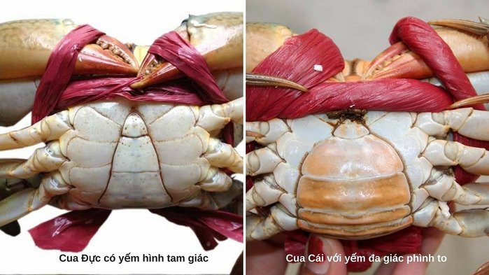 Cua hấp đỏ au, ngọt thịt, không tanh: Nhớ bỏ thêm nguyên liệu này vào nồi-1