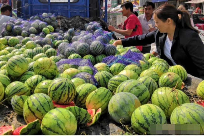 Đừng chỉ dùng tay vỗ nhẹ vào dưa hấu, hãy nắm vững một số kỹ thuật lựa chọn và bạn sẽ biết dưa hấu mình mua về có ngọt hay không-1
