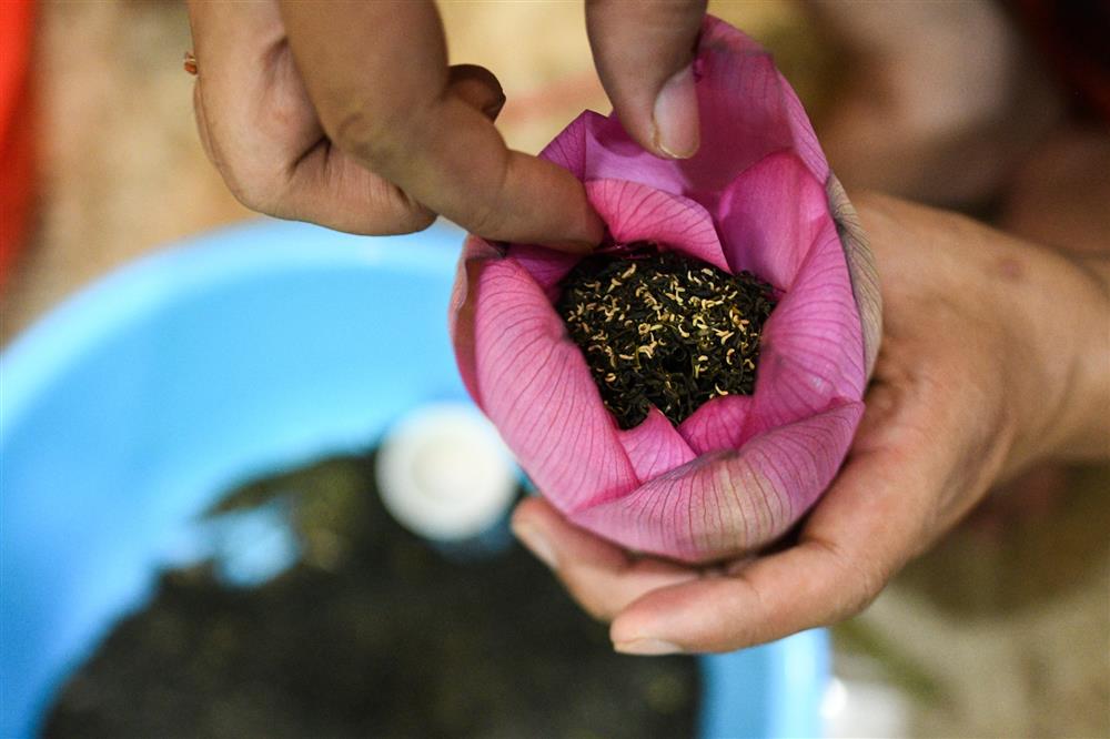 Chủ đầm sen hồ Tây bán hàng nghìn bông mỗi ngày-9