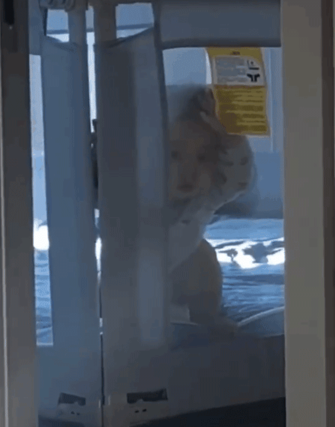 Ước gì mẹ trẻ hơn 25 tuổi” - Câu nói gây sốt của con gái mỹ nhân gốc Việt Chung Lệ Đề và ý nghĩa cảm động đằng sau-4