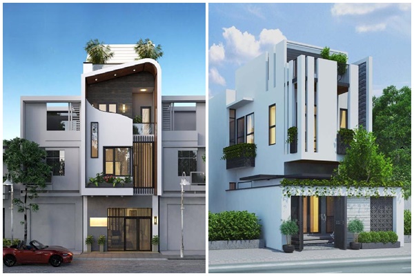 10 loại cây cảnh bạn nên trồng trong nhà để giúp giảm căng thẳng, mệt mỏi-11