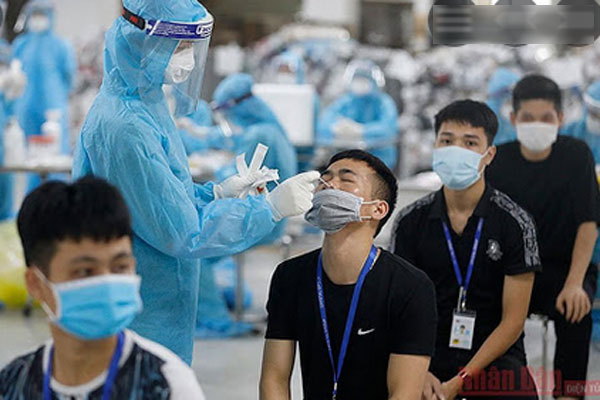 Sáng 3/7: Thêm 239 ca mắc COVID-19, TP Hồ Chí Minh tiếp tục nhiều nhất với 215 ca-2