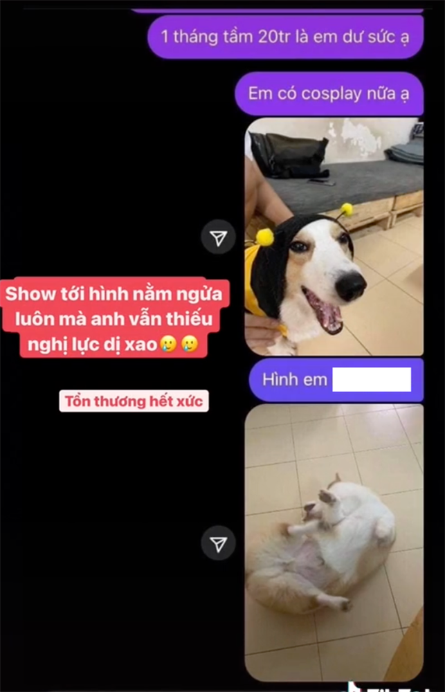 Cô gái 12 mối tình bị gạ làm sugar baby, cà khịa cực gắt: Có tiền không mà đòi chu cấp 10 triệu/ tháng?-5