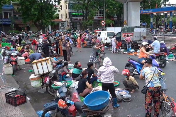 Cách trồng hành đơn giản trong hộp xốp-1