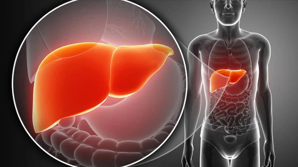 Không liên quan đến rượu bia, đây là chất xúc tác giấu mặt cực kì hại gan, đáng tiếc nhiều người không bỏ được-1