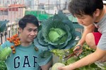 Khu vườn xanh tươi trên mái nhà và bí quyết đáng học hỏi của mẹ 3 con ở Sài Gòn-18