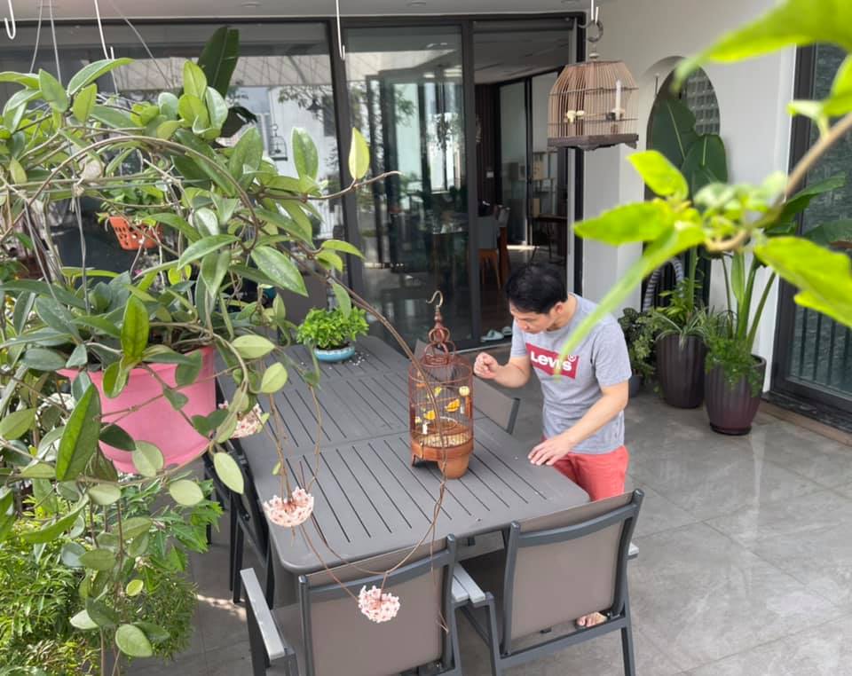Sân thượng thoáng đãng nhưng xanh mướt, sai trĩu quả của ông hoàng nhạc đỏ Trọng Tấn-22
