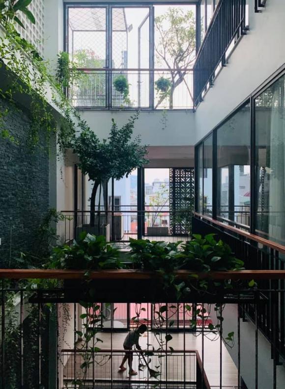 Sân thượng thoáng đãng nhưng xanh mướt, sai trĩu quả của ông hoàng nhạc đỏ Trọng Tấn-2