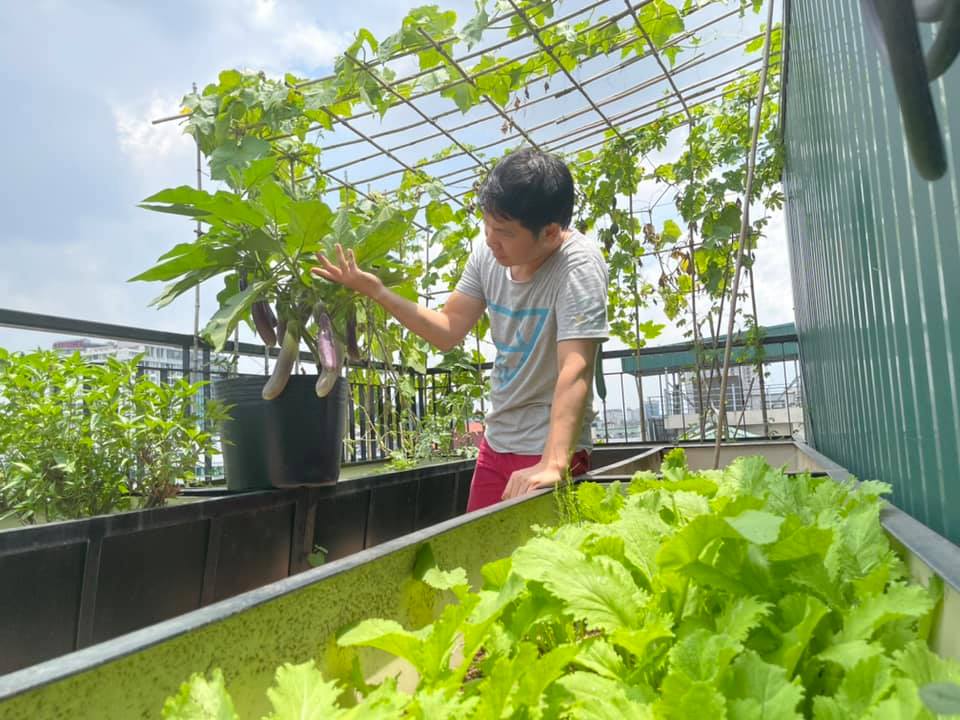 Sân thượng thoáng đãng nhưng xanh mướt, sai trĩu quả của ông hoàng nhạc đỏ Trọng Tấn-10