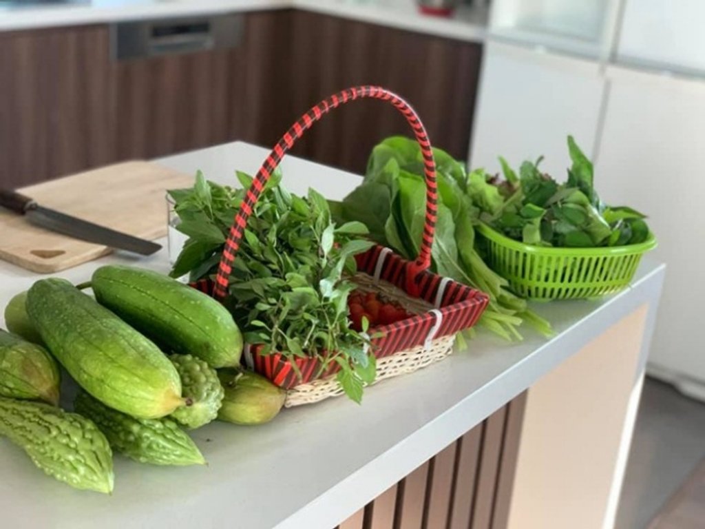 Sân thượng thoáng đãng nhưng xanh mướt, sai trĩu quả của ông hoàng nhạc đỏ Trọng Tấn-26