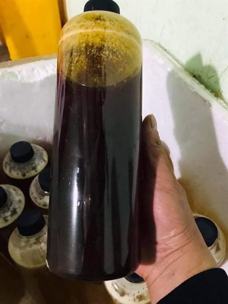 Việt Nam có thứ mật đen siêu hiếm, hàng triệu đồng 1 lít vẫn khó mua-1