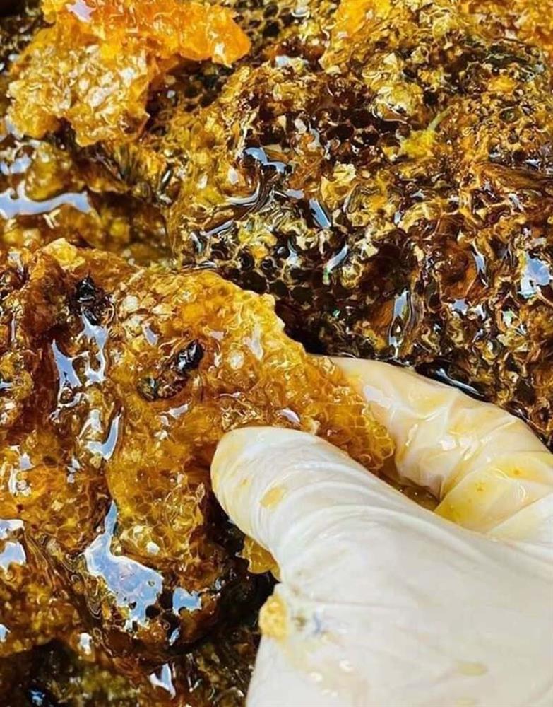 Việt Nam có thứ mật đen siêu hiếm, hàng triệu đồng 1 lít vẫn khó mua-2