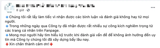 Đơn vị thi công biệt thự của Thuỷ Tiên lên tiếng sau tuyên bố lên phường, vẫn bị netizen tấn công mặc lời giải thích-1