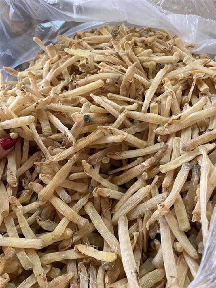 Sự thật về bào ngư khô, sá sùng khô giá rẻ-2