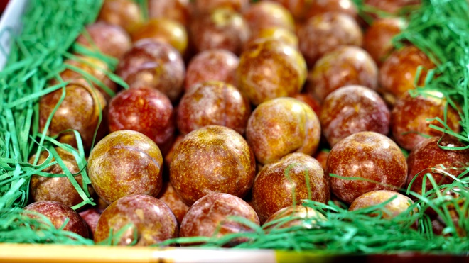 Mận ruby Sơn La 230.000 đồng/kg có gì đặc biệt?-1