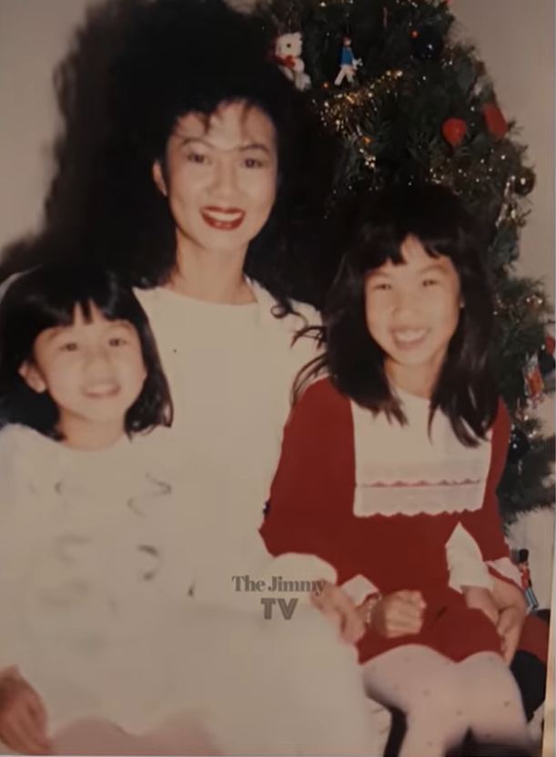 Hé lộ ảnh hiếm của Kim Ngân bên chồng và con trai khi chưa hóa điên khiến nhiều người xót xa-13