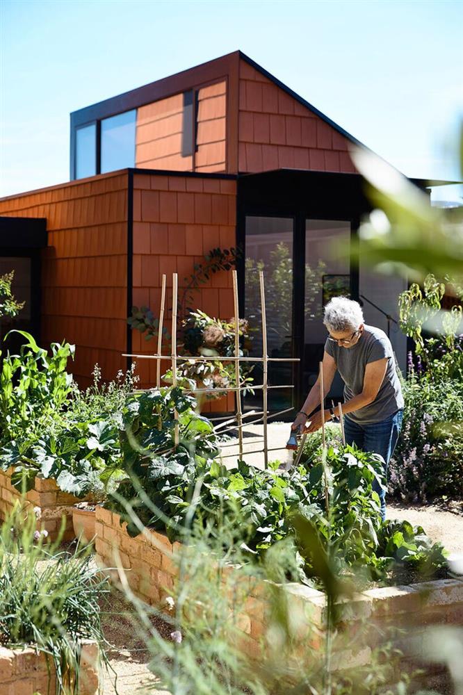 Cải tạo căn nhà cũ thành ngôi nhà đa thế hệ, có vườn cây xanh mát bao quanh khiến nhiều người ngưỡng mộ-5
