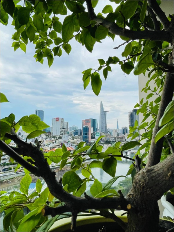 Căn hộ cao cấp trống huơ trống hoác của Quang Lê 2 năm trước nay đã được tô điểm bằng ban công ngập tràn sắc hoa, view đẹp mỹ mãn-2