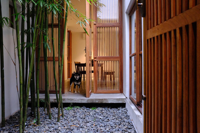 Vợ chồng 8X xây nhà 3,5 tỷ tại Long Biên: Bên ngoài là khối hộp cao 9m nhưng trong nhà lại ngập nắng chill bất ngờ-7