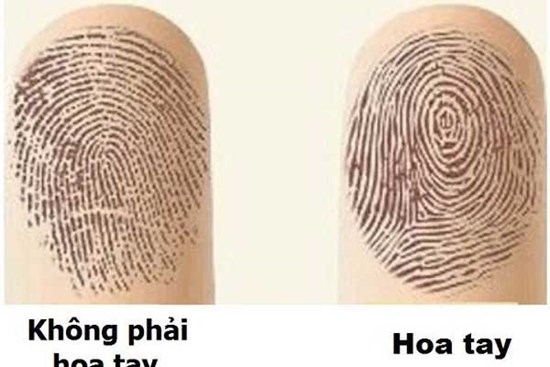 Nhìn ngón tay cái biết ngay cuộc đời sang giàu hay nghèo khó, vất vả hay rung đùi hưởng phúc