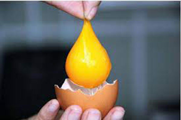 Có thể bạn chưa biết: Những loại trứng gà có giá lên đến 100.000 đồng/quả-6