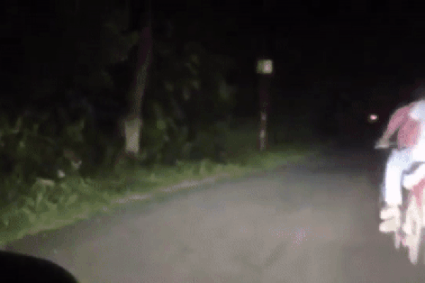 Đang ngủ, chó nhà bị báo hoa mai ngoạm cổ lôi và cái kết bất ngờ-1