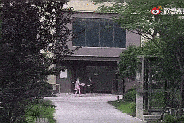 Chó tấn công trẻ em làm xóm giềng đại chiến, người chủ tuyên bố Con cô sao đáng giá bằng chó của tôi khiến dân mạng dậy sóng-2