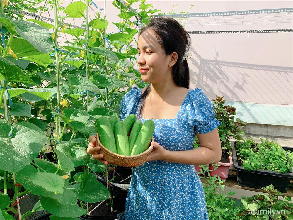 Khu vườn xanh tươi trên mái nhà và bí quyết đáng học hỏi của mẹ 3 con ở Sài Gòn-2