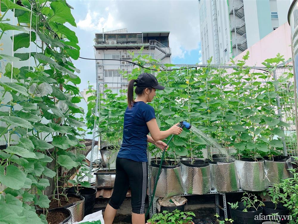 Khu vườn xanh tươi trên mái nhà và bí quyết đáng học hỏi của mẹ 3 con ở Sài Gòn-3