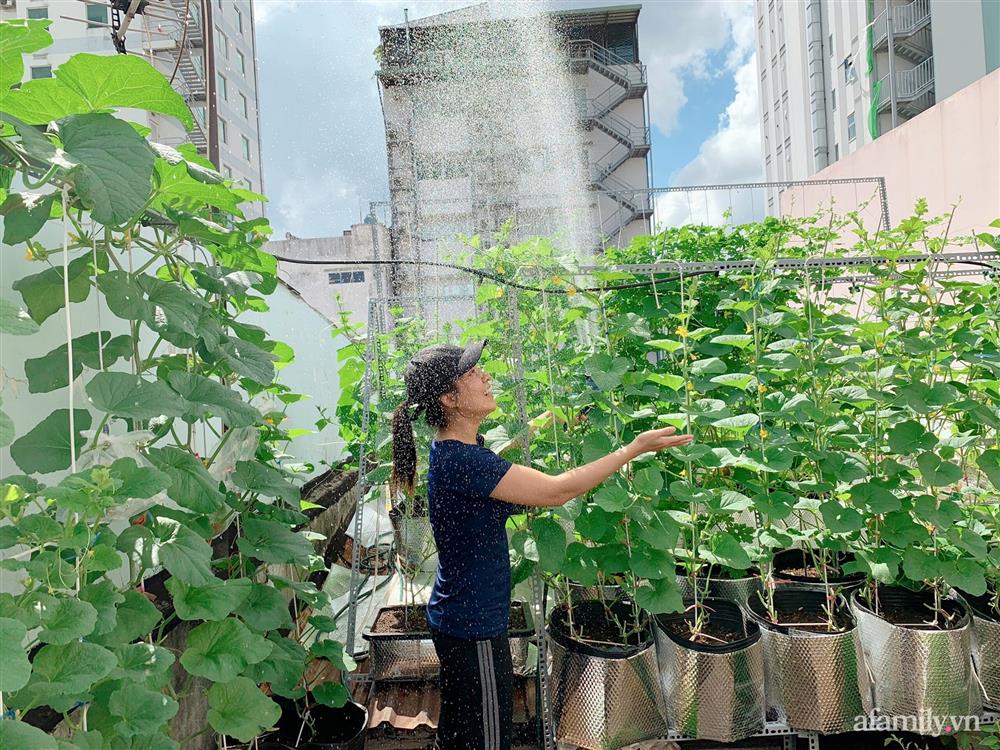 Khu vườn xanh tươi trên mái nhà và bí quyết đáng học hỏi của mẹ 3 con ở Sài Gòn-10