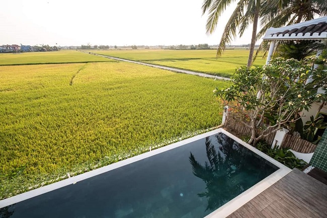 Cặp vợ chồng trẻ chi tiền tỷ xây villa giữa… ruộng lúa ở Hội An-4