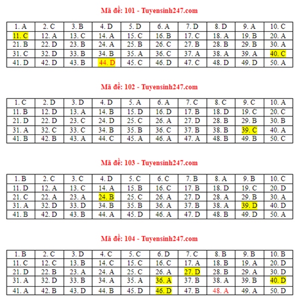 Đáp án đề thi môn Toán tốt nghiệp THPT 2021 tất cả mã đề-1