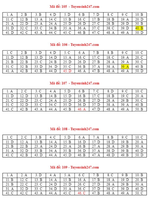 Đáp án đề thi môn Toán tốt nghiệp THPT 2021 tất cả mã đề-2