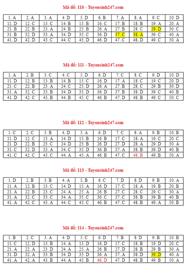 Đáp án đề thi môn Toán tốt nghiệp THPT 2021 tất cả mã đề-3