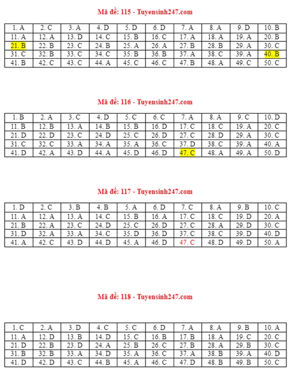 Đáp án đề thi môn Toán tốt nghiệp THPT 2021 tất cả mã đề-4