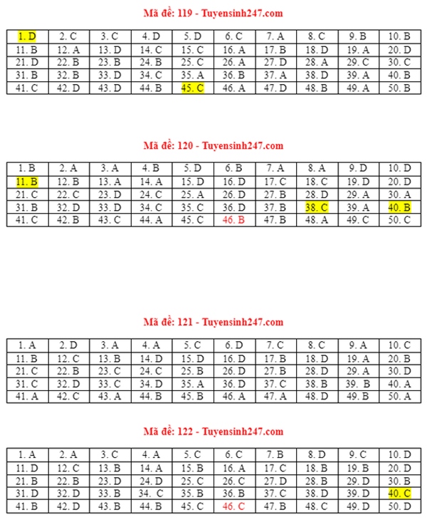 Đáp án đề thi môn Toán tốt nghiệp THPT 2021 tất cả mã đề-5