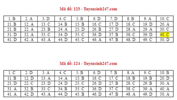 Đáp án đề thi môn Toán tốt nghiệp THPT 2021 tất cả mã đề-6